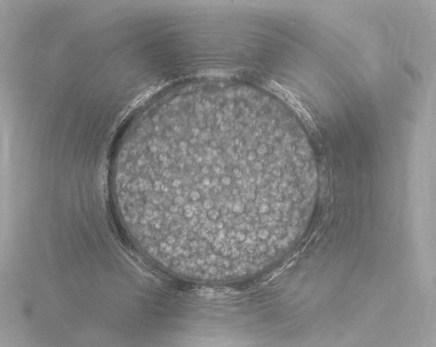 X0000115510346200912181450