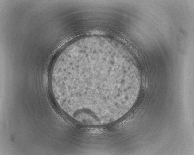 X0000115510347200912181450