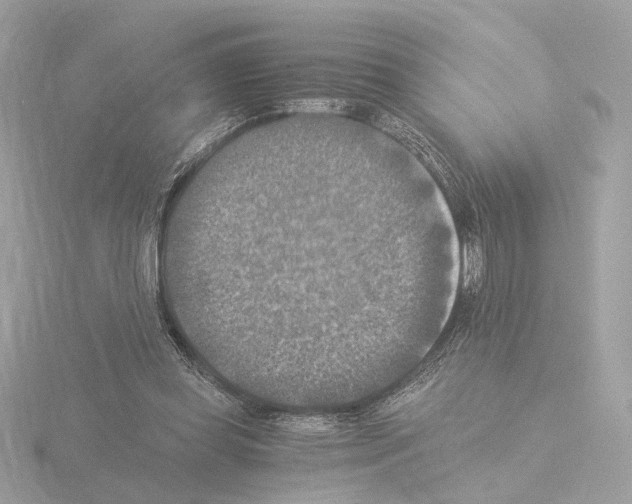 X0000115510349200912181450