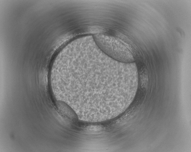 X0000115510350200912181450