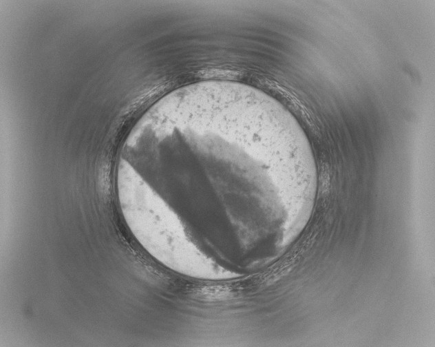 X0000115510353200912181450