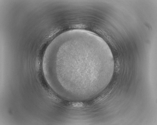 X0000115510355200912181450