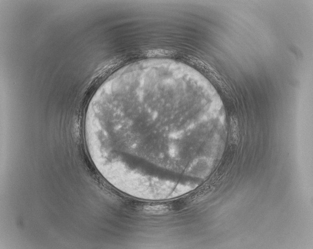 X0000115510357200912181450