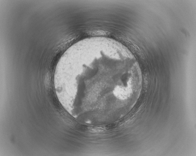 X0000115510359200912181450