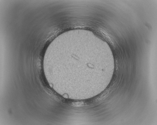 X0000115510362200912181450