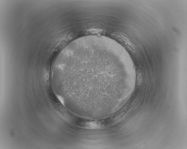 X0000115510365200912181450