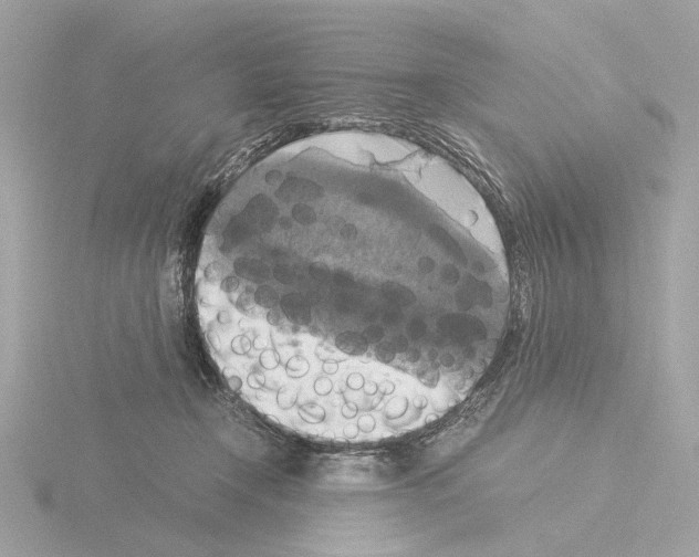 X0000115510366200912181450