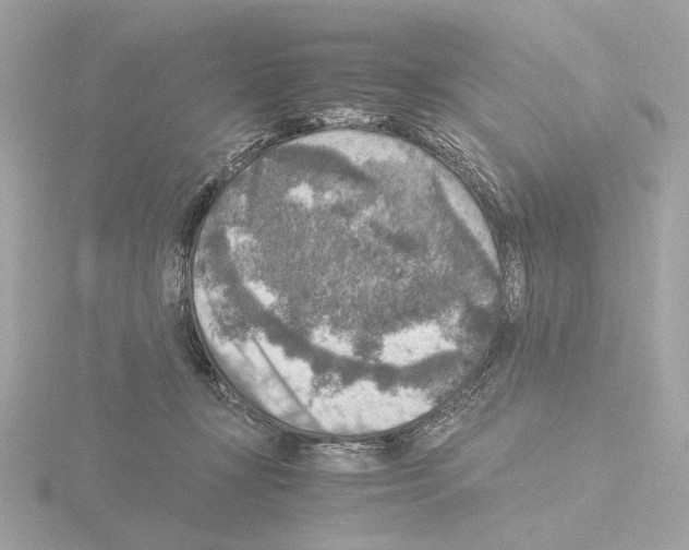 X0000115510367200912181450