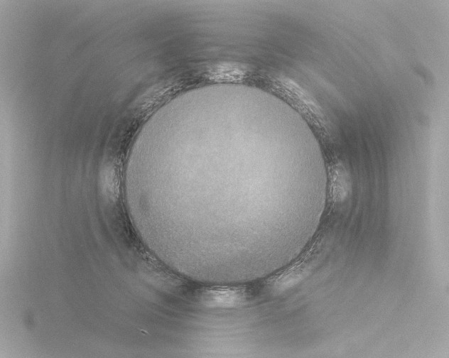 X0000115510370200912181450