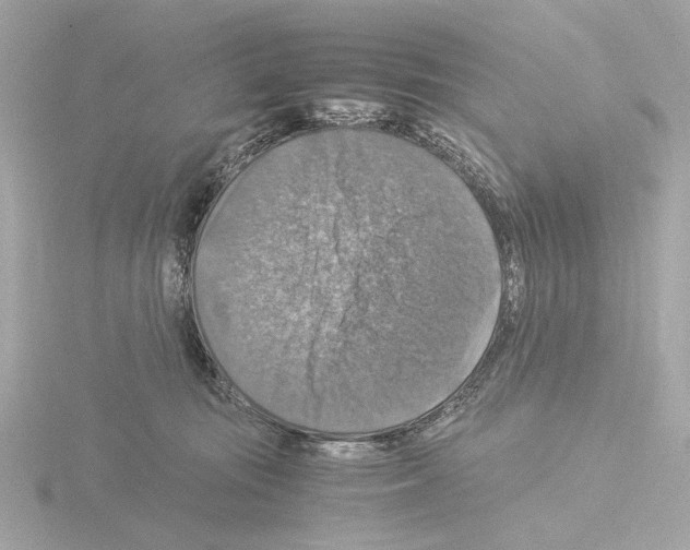 X0000115510371200912181450