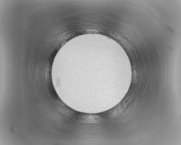 X0000115510379200912181450