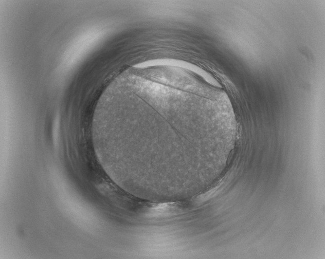 X0000115510382200912181450