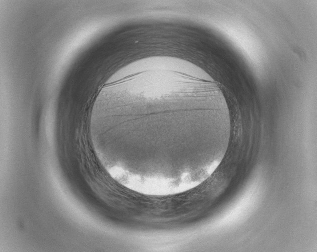 X0000115510383200912181450