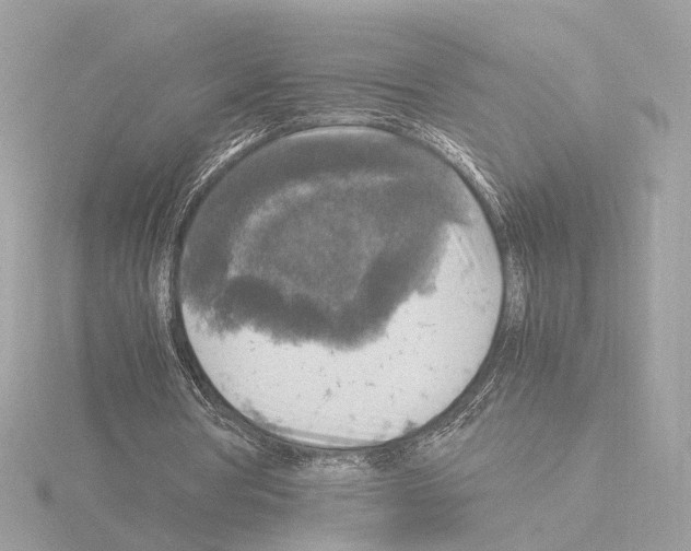 X0000115510386200912181450