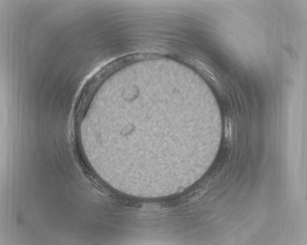 X0000115510388200912181450