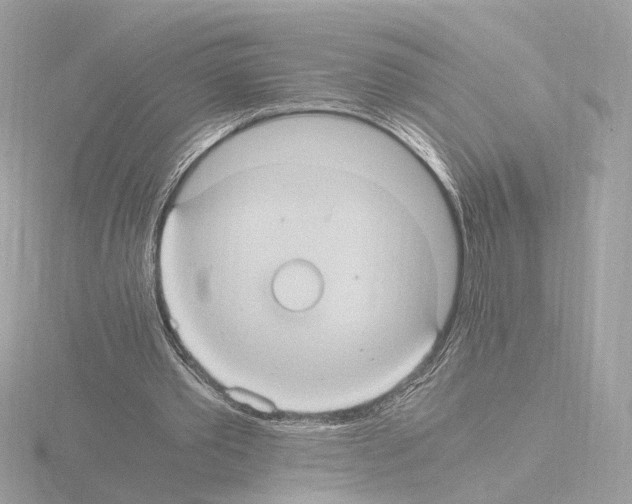 X0000115510389200912181450