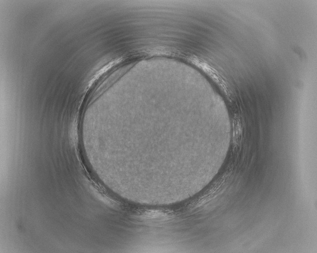 X0000115510390200912181450