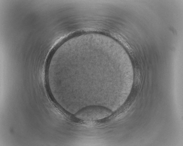 X0000115510391200912181450