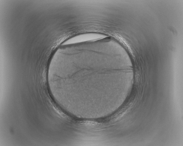 X0000115510393200912181450