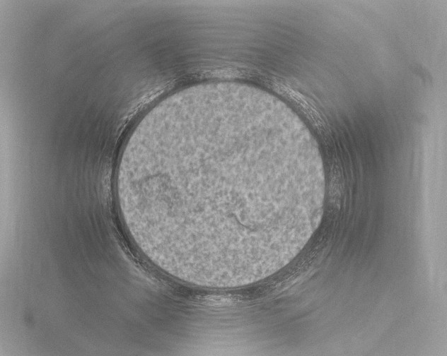 X0000115510394200912181450