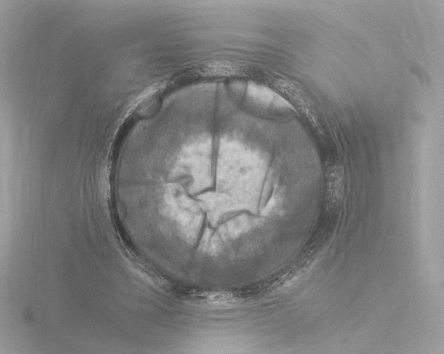 X0000115510395200912181450