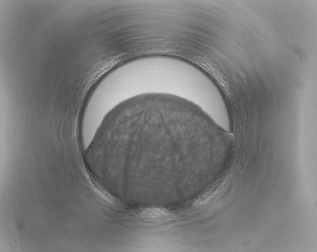 X0000115510397200912181450