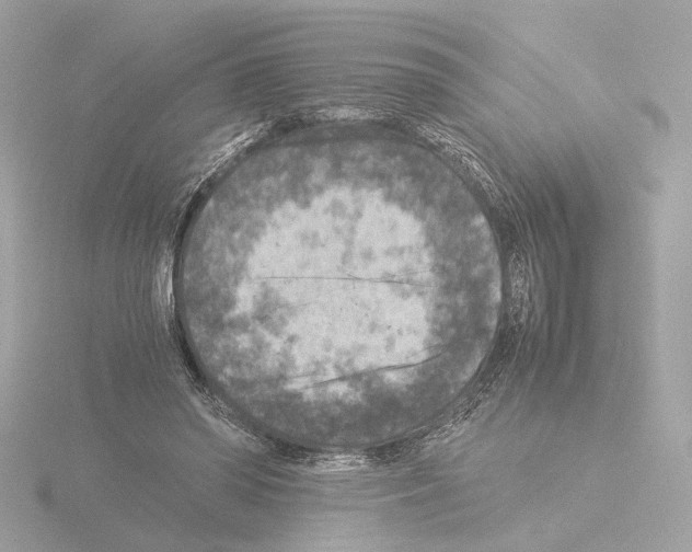 X0000115510398200912181449