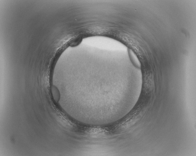 X0000115510399200912181449