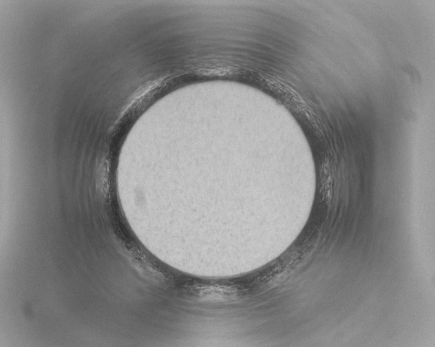 X0000115510400200912181449