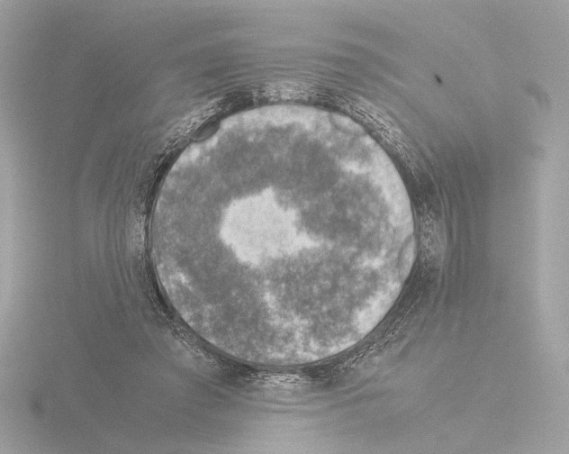 X0000115510401200912181449