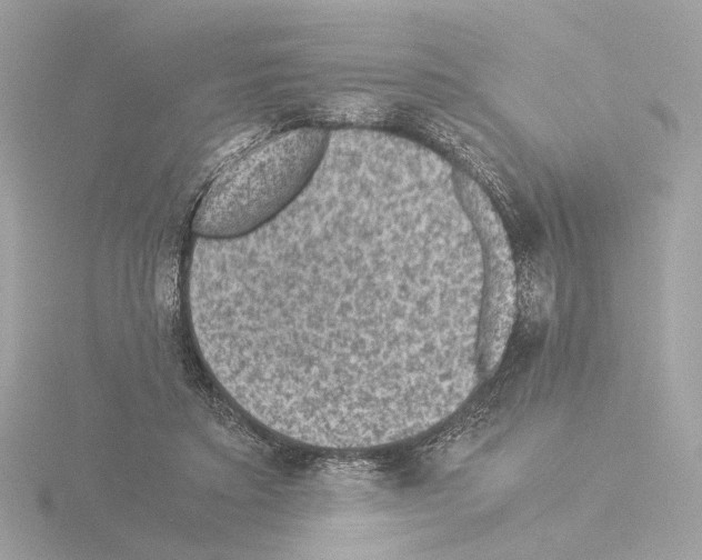 X0000115510403200912181449