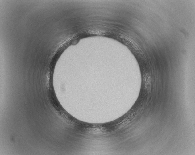 X0000115510404200912181449