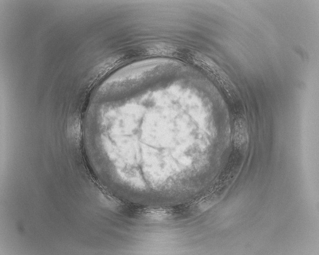 X0000115510405200912181449