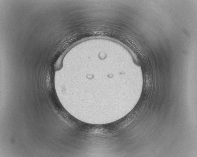 X0000115510408200912181449