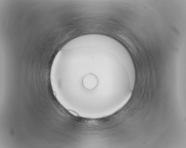 X0000115510409200912181449