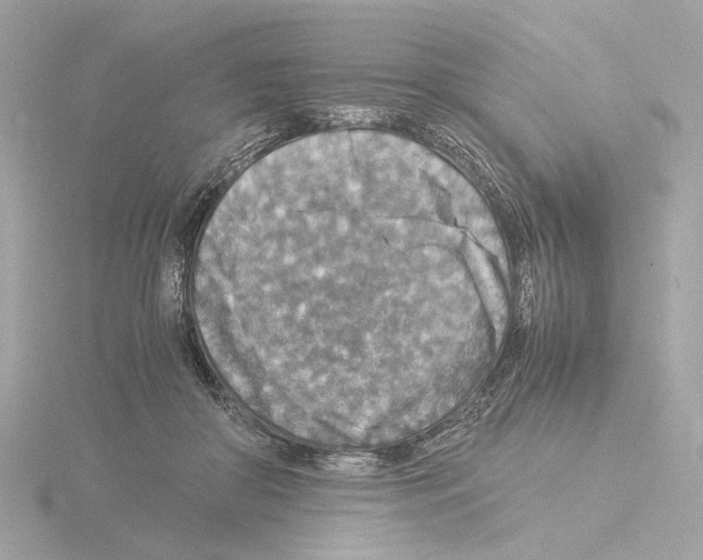 X0000115510410200912181449