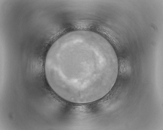 X0000115510411200912181449