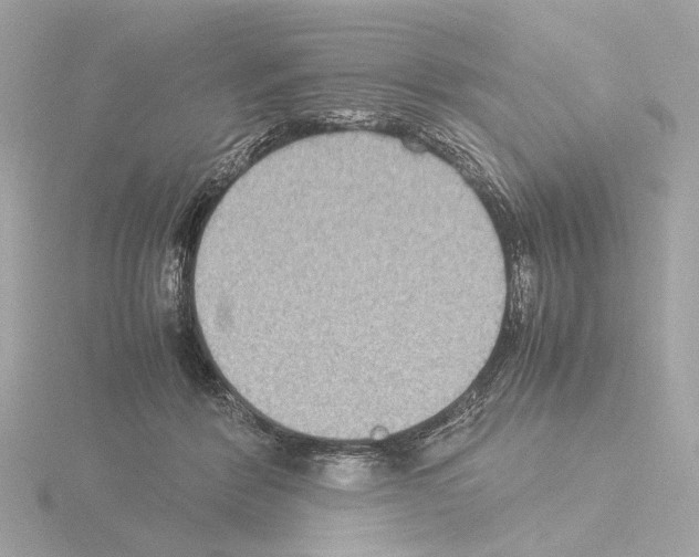 X0000115510412200912181449