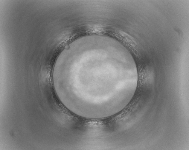 X0000115510415200912181449