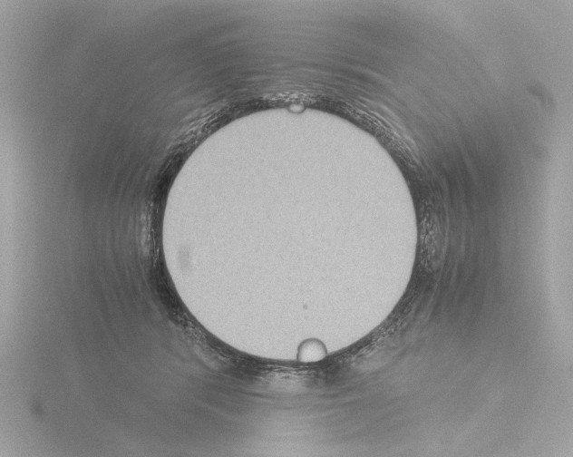 X0000115510416200912181449