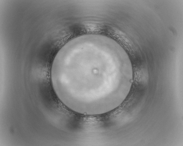 X0000115510419200912181449