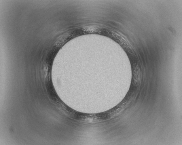 X0000115510420200912181449