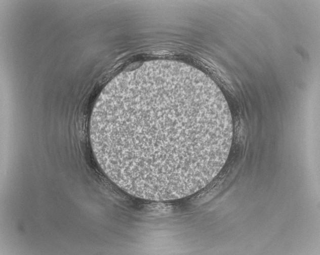 X0000115510421200912181449