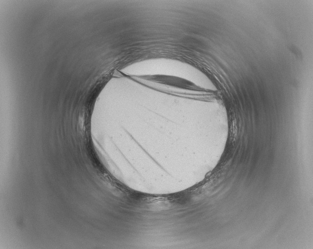 X0000115510424200912181449