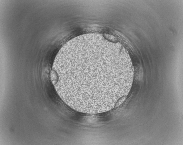 X0000115510425200912181449