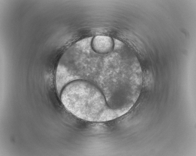 X0000115510427200912181449