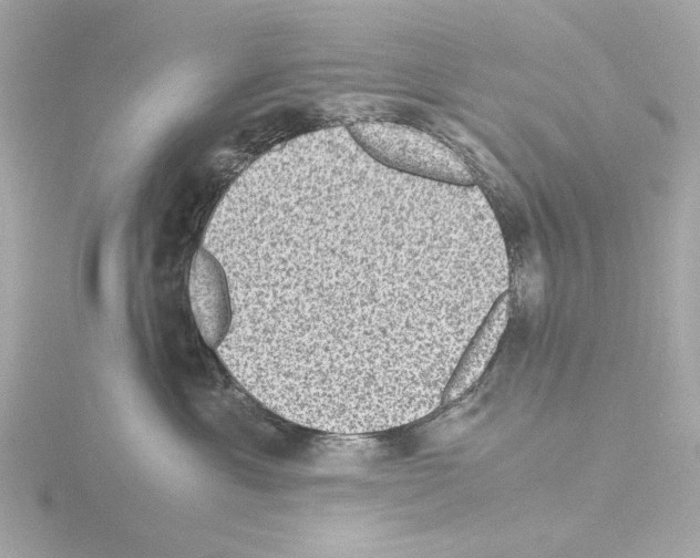 X0000115510429200912181449