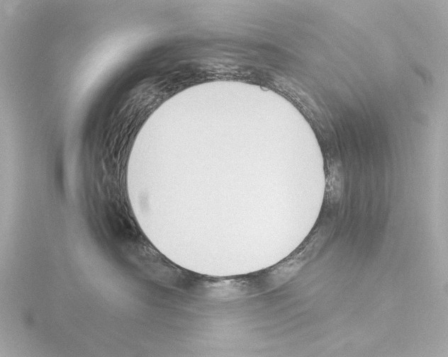 X0000115510430200912181449