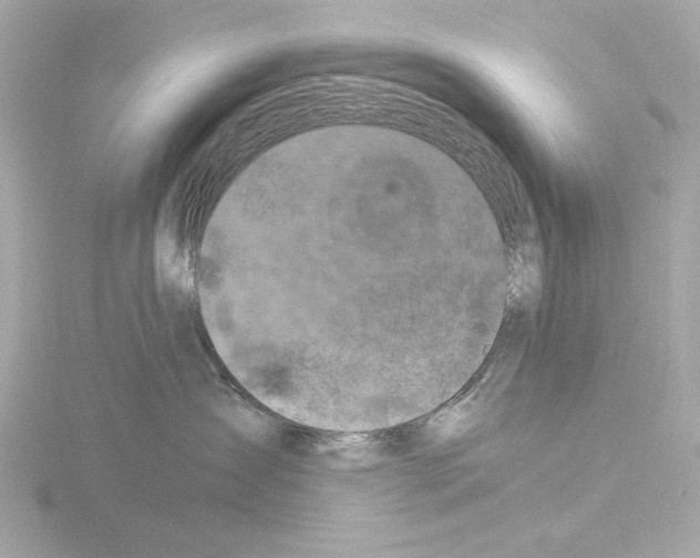 X0000115510431200912181449