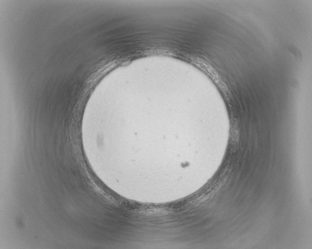 X0000115510433200912181448